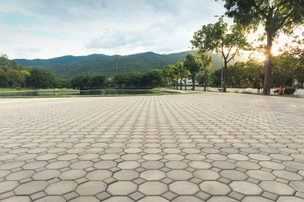 Best Brick Driveway Pavers  in Corsicana, TX